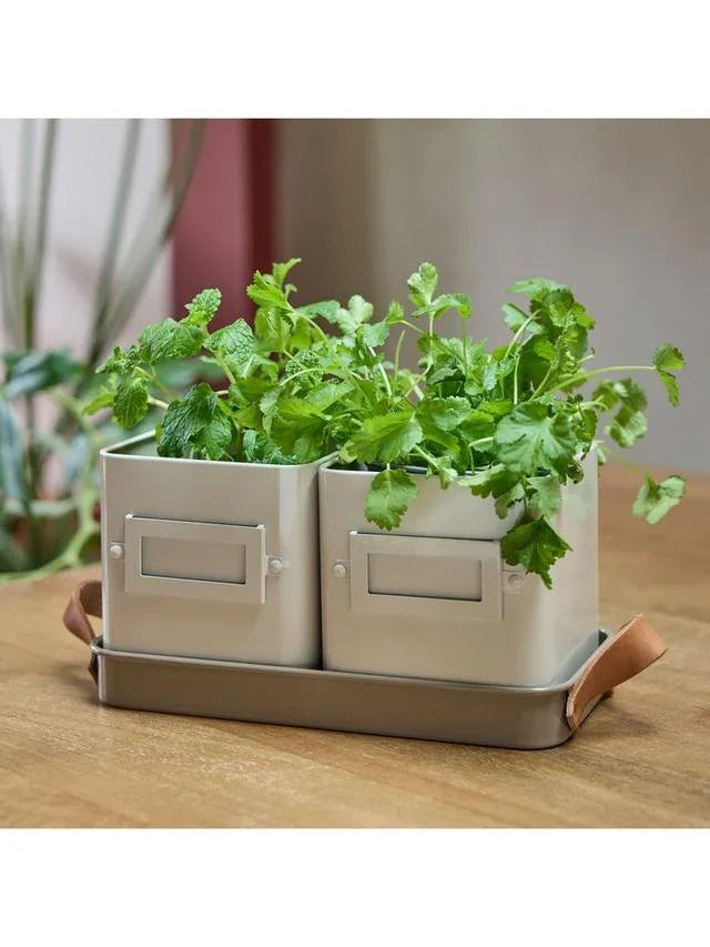 Burgon & Ball Kitchen Herb Pots, Mushroom