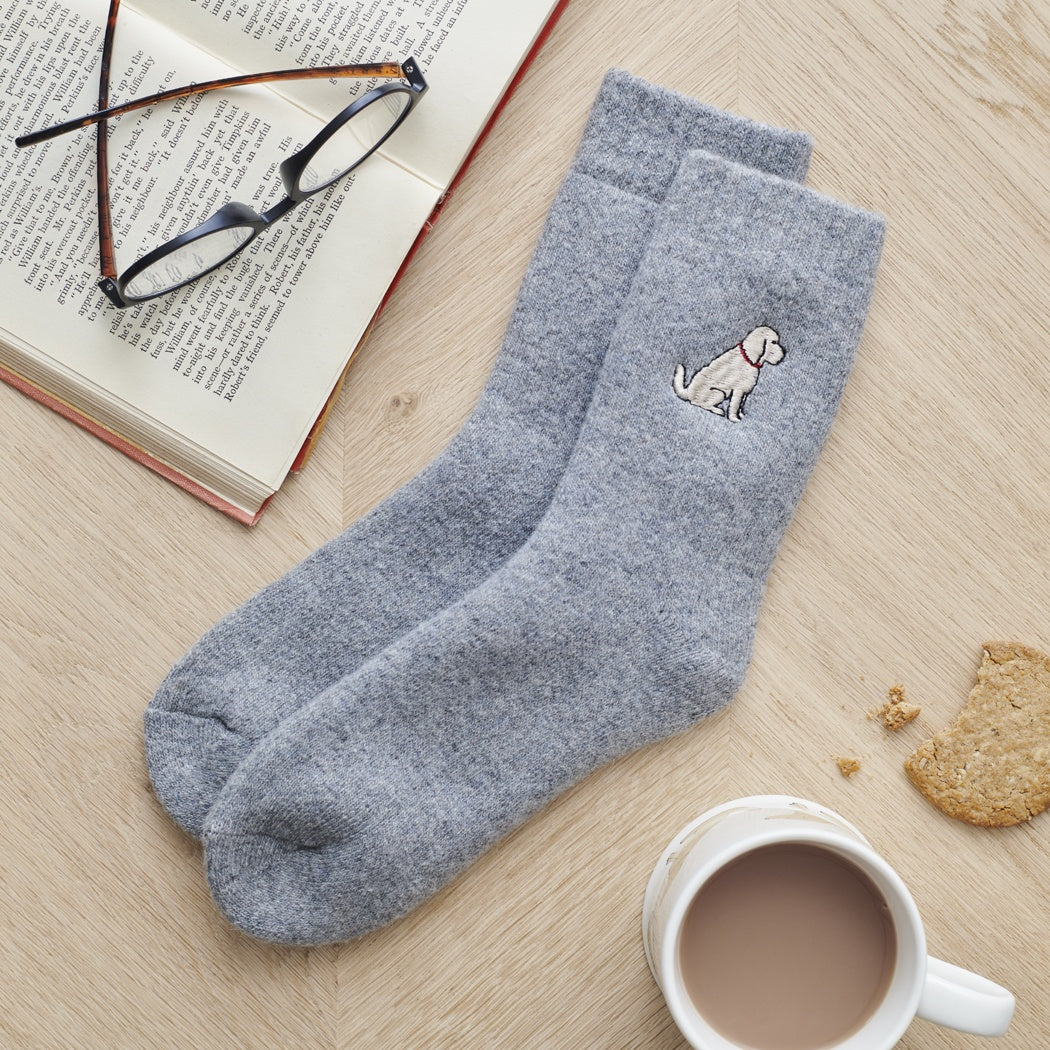 Cockapoo / Labradoodle (Apricot) Dog Walking Socks