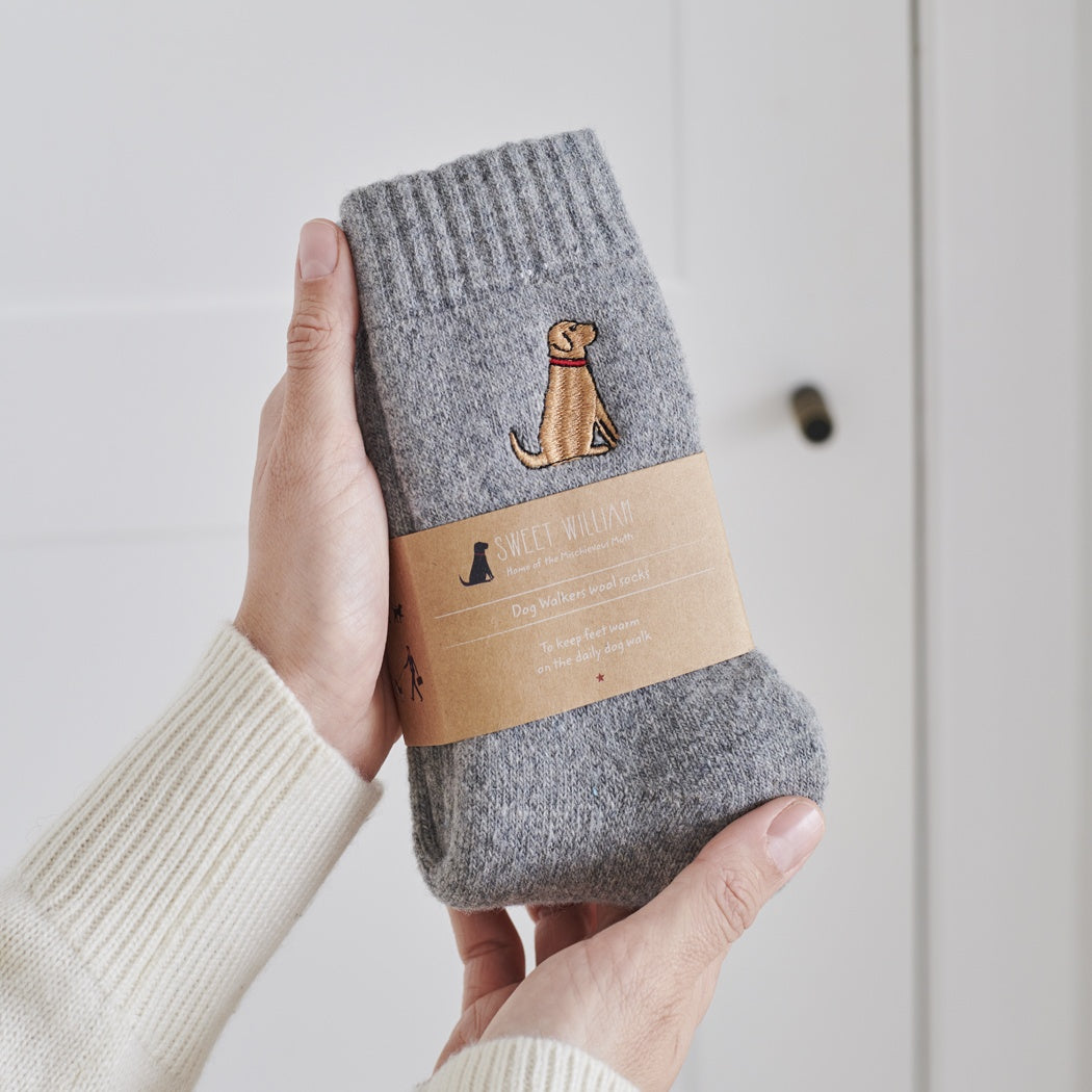 Red Fox Labrador Dog Walking Socks