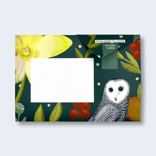 Pigeon -Dusk to Dawn