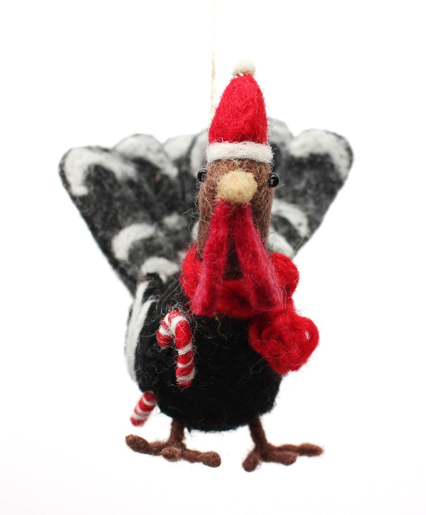 Festive Turkey with Candy Cane