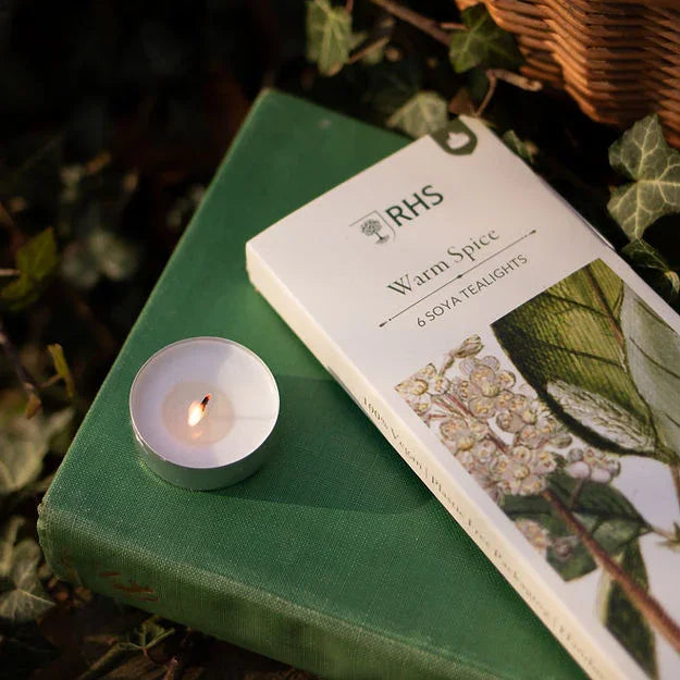 RHS Heritage Tealights  - Warm Spice