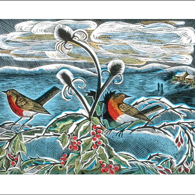 Robins and Teasels