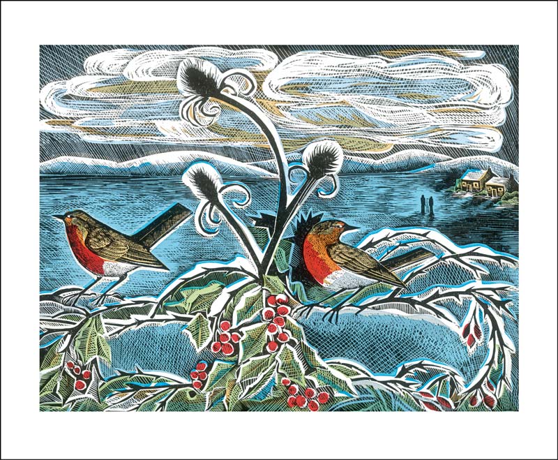 Robins and Teasels