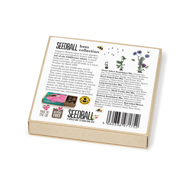 Bees Collection – Set of 6