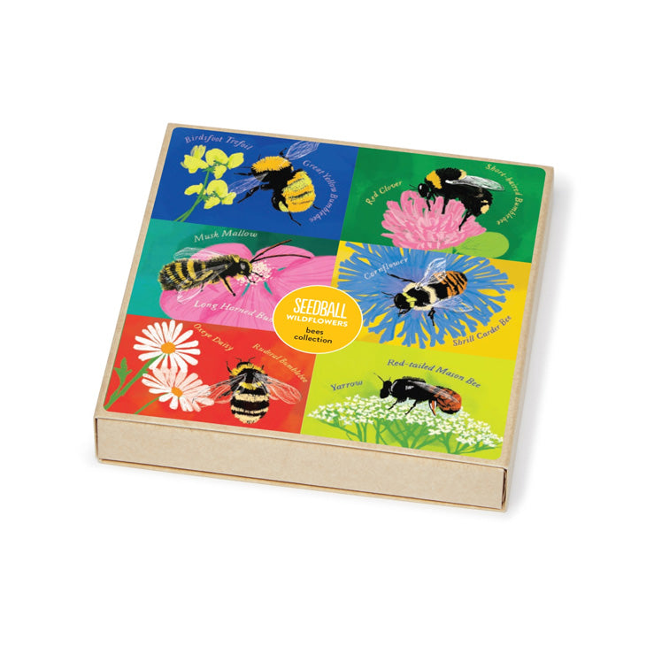 Bees Collection – Set of 6