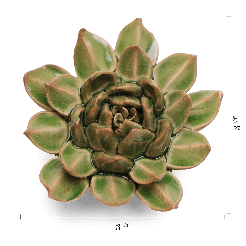 English Garden Ceramic Flower Green Small Succulent