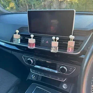 Rosy Roo Car Diffuser Air Freshener - Citrus & Spice