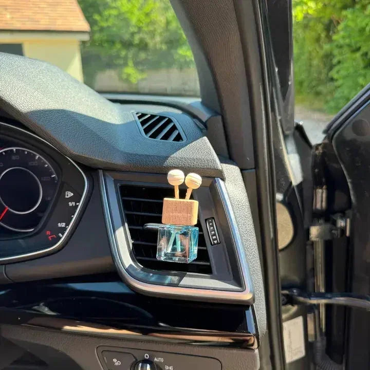 Rosy Roo Car Diffuser Air Freshener - Citrus & Spice