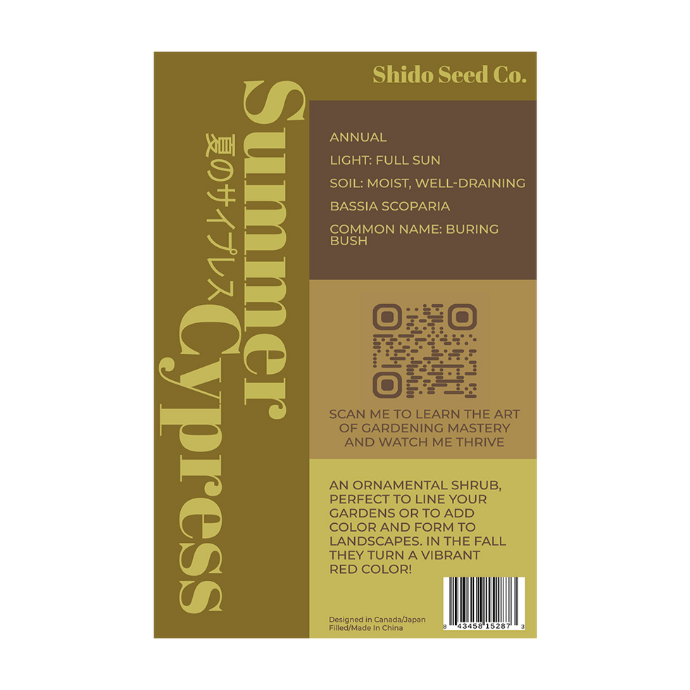 Summer Cypress Flower Seeds Packet