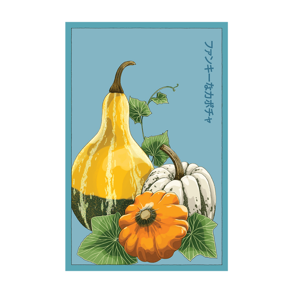 Funky Squash Vegetable Seeds Packet