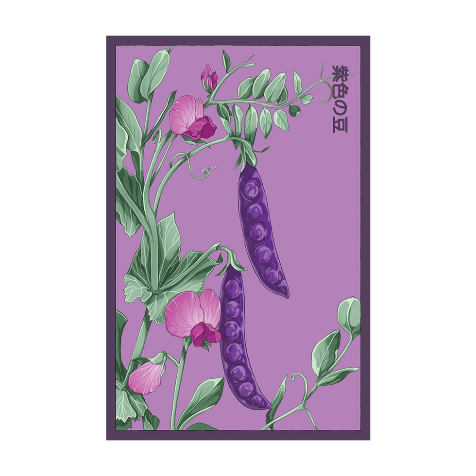 Purple Peas Vegetable Seeds Packet