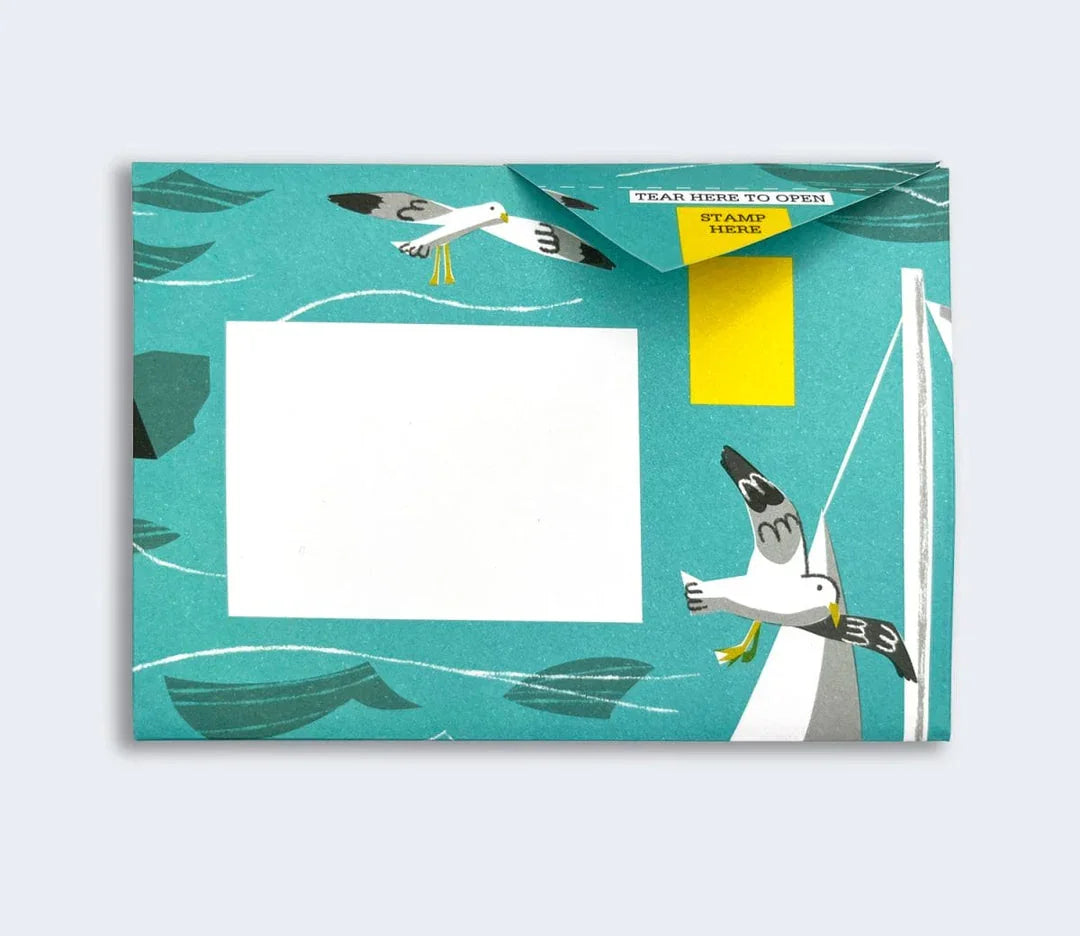 Pigeon - Safe Harbour