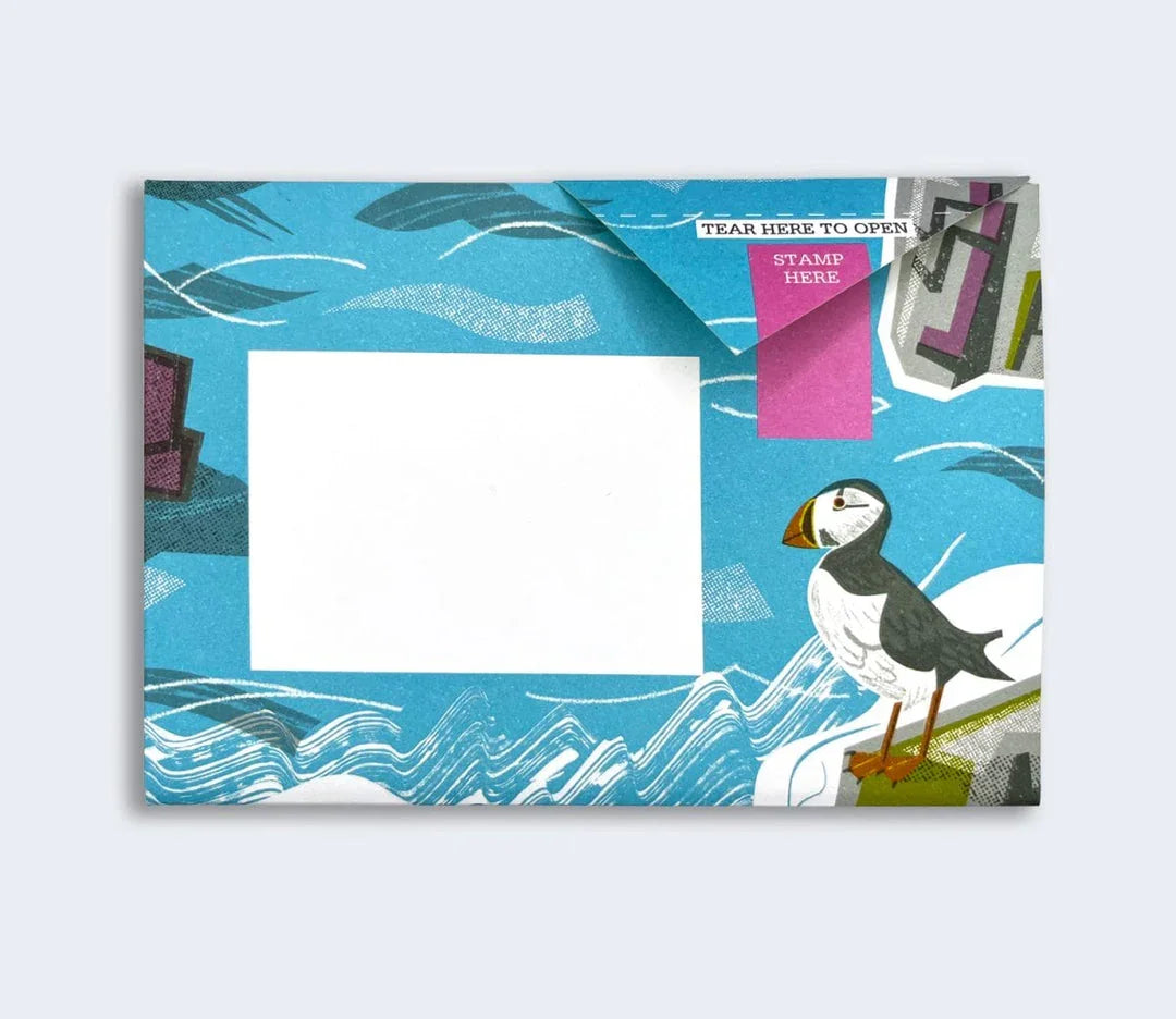 Pigeon - Safe Harbour