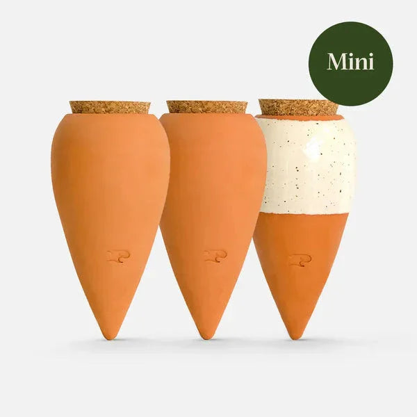 Olla - Mini Trio