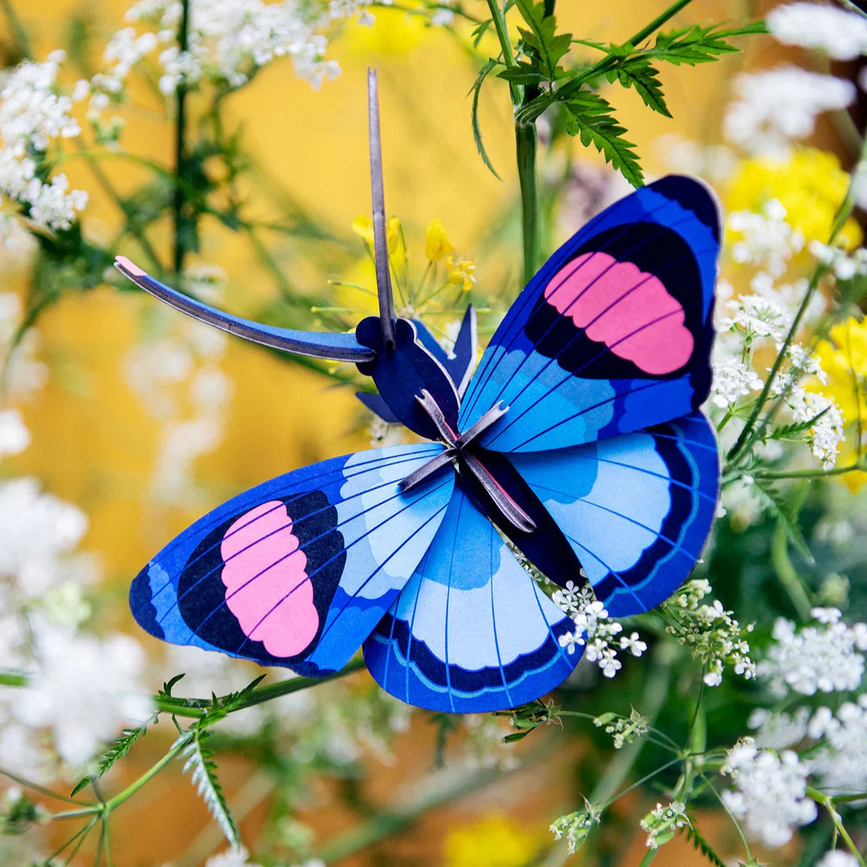 Peacock Butterfly - Wall Art