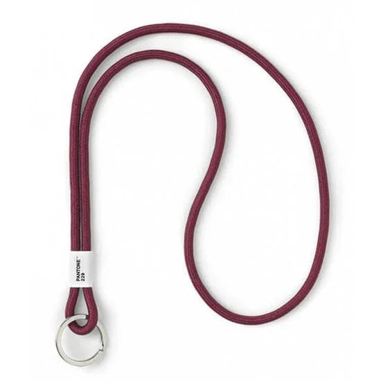 Pantone Long Key Chain