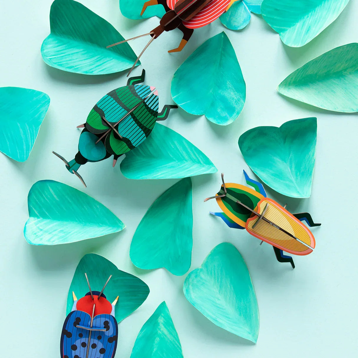 Weevil Beetle Wall Art