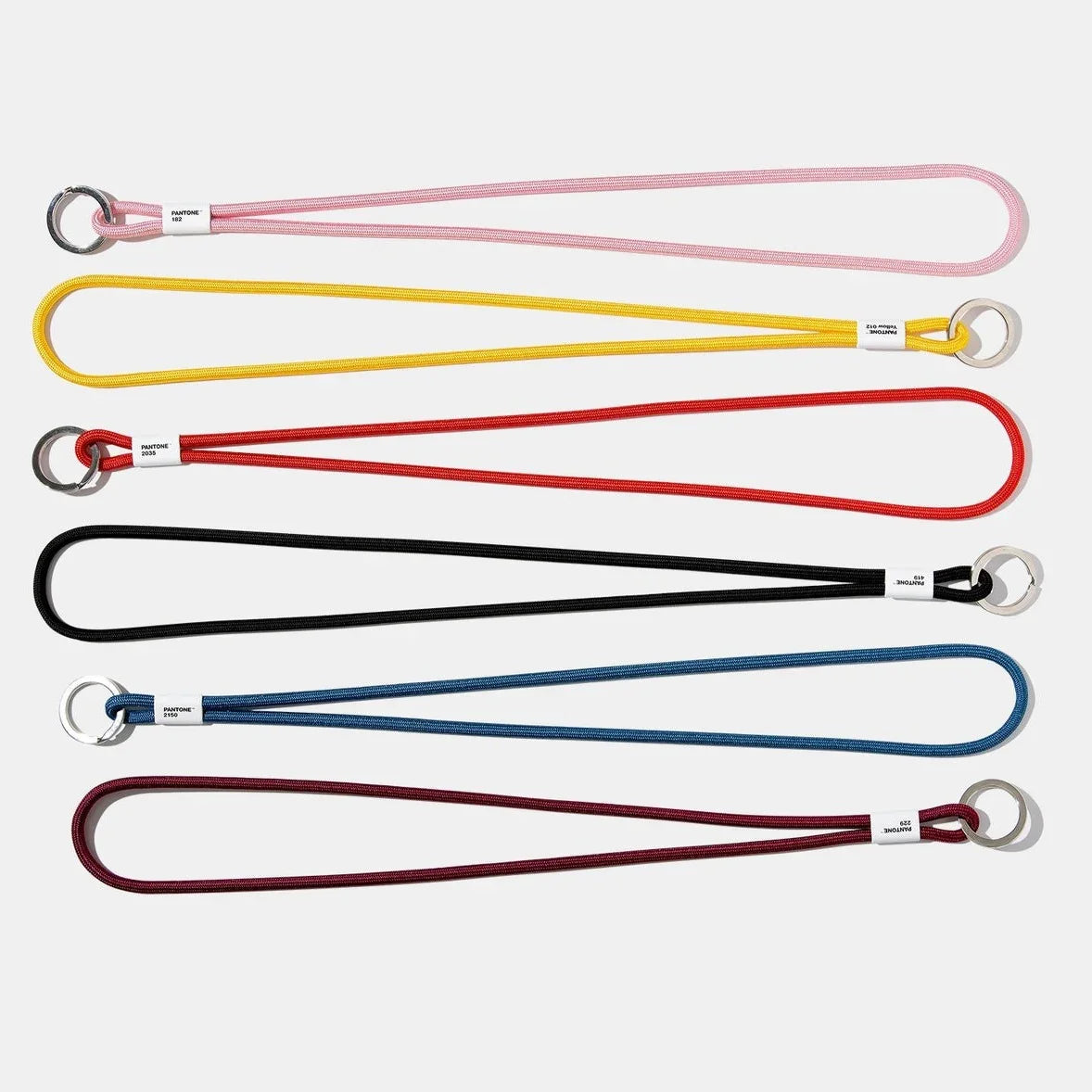 Pantone Long Key Chain