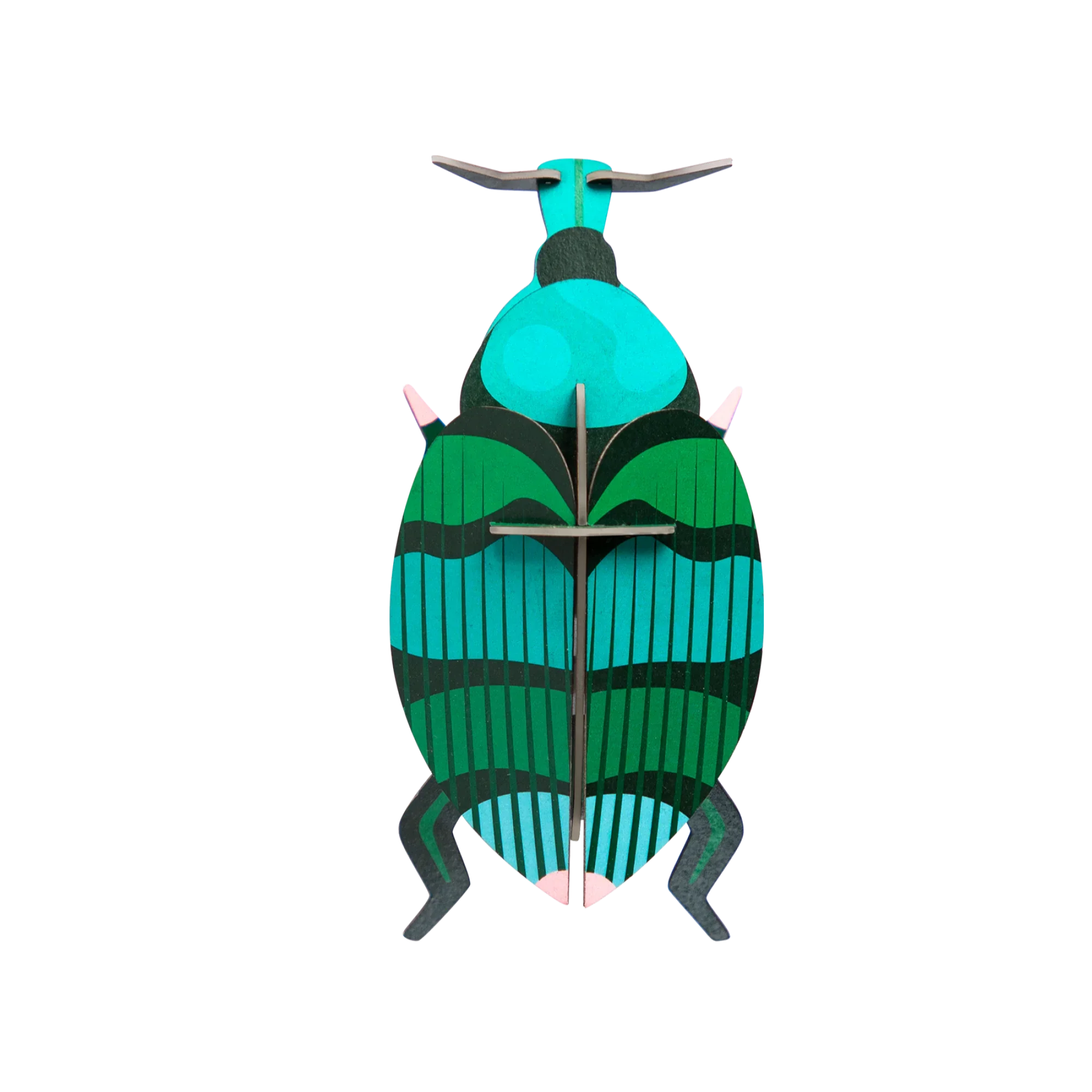 Weevil Beetle Wall Art