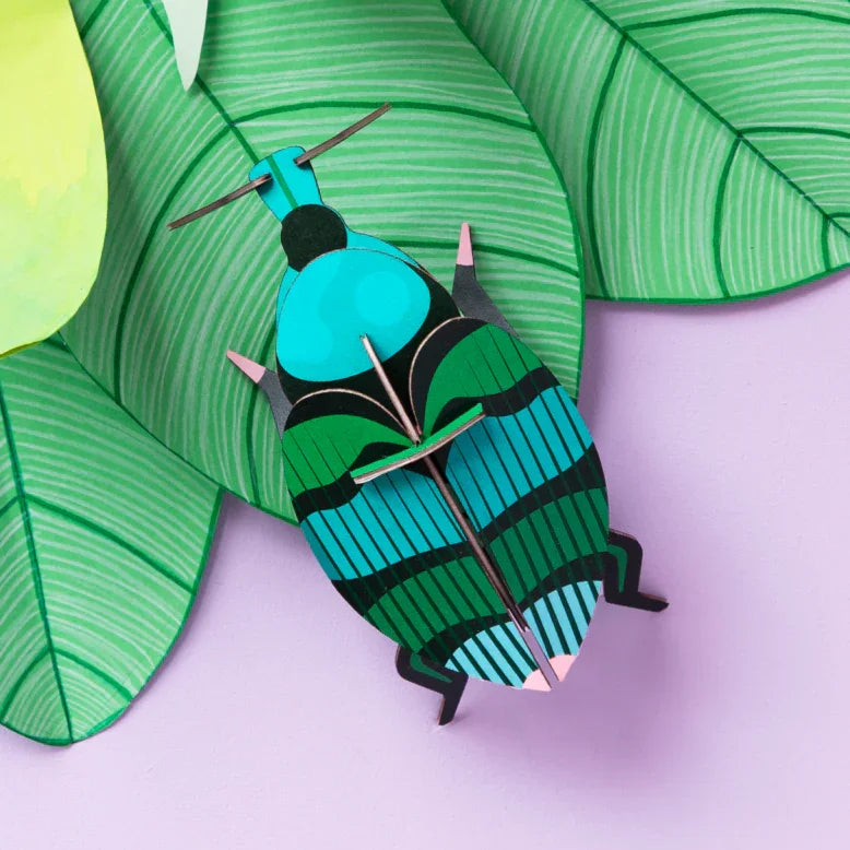 Weevil Beetle Wall Art
