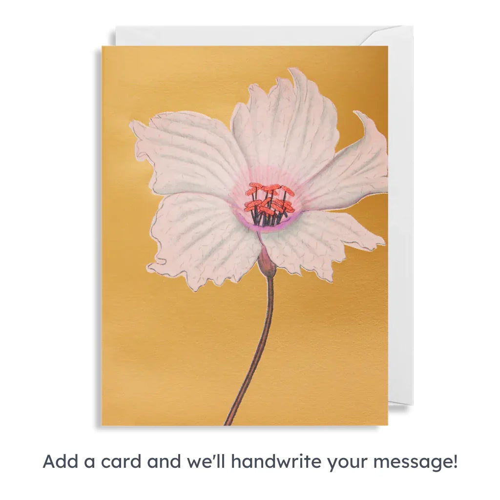 Create Your Own Personalised Gift Box