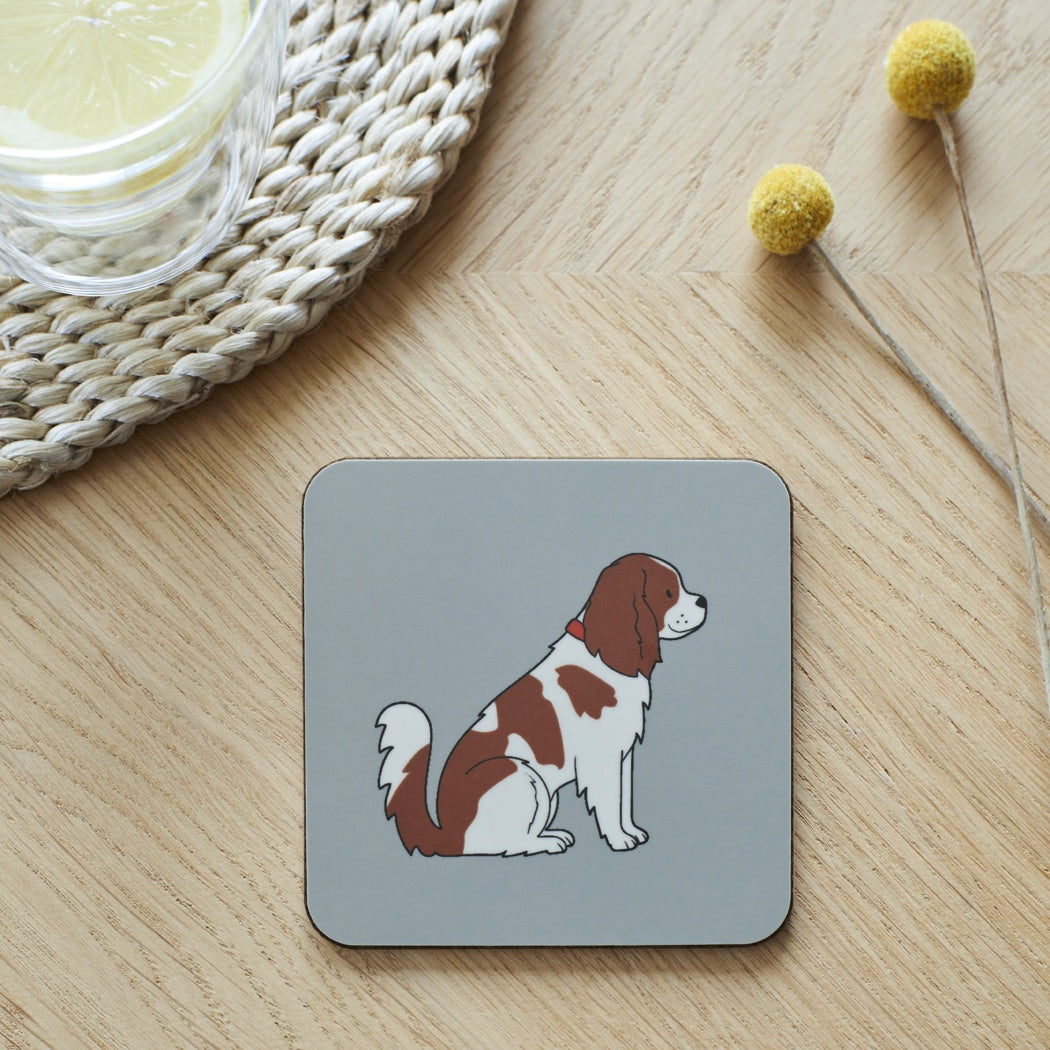 Cavalier King Charles Spaniel Coaster