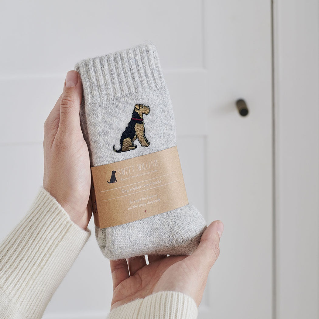 Sweet William Airedale/Lakeland/Welsh Terrier Dog Walking Socks