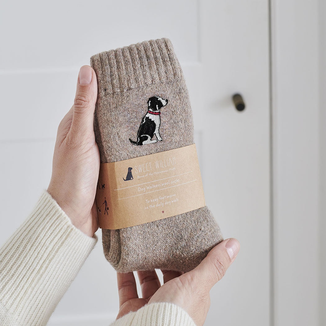 Sweet William - Springer Spaniel (Black & White) Dog Walking Socks