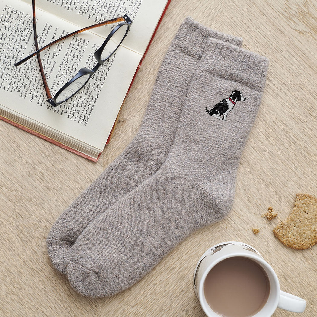 Sweet William - Springer Spaniel (Black & White) Dog Walking Socks