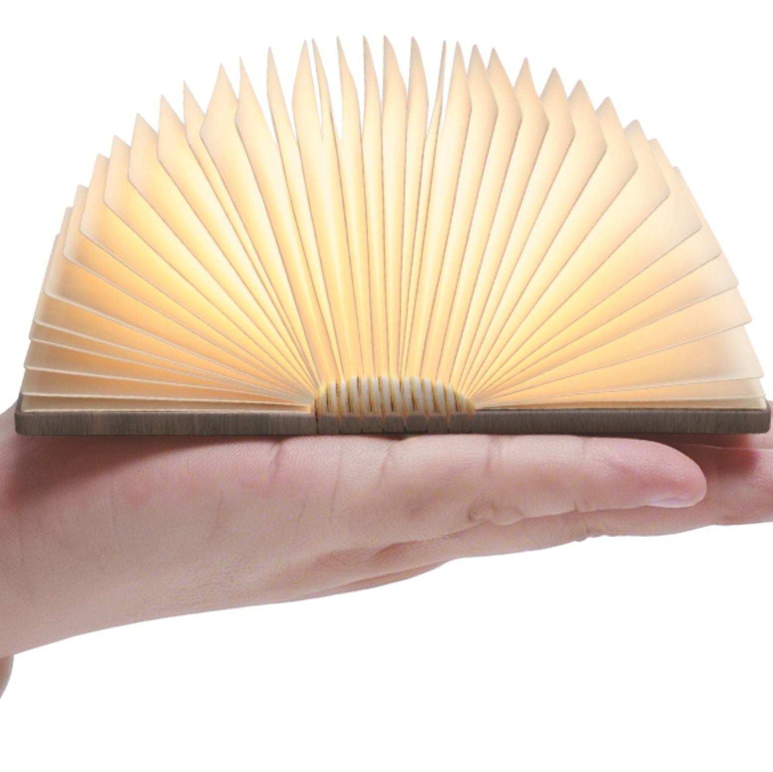 Gingko Super Mini Smart Book Light - Palm Edition