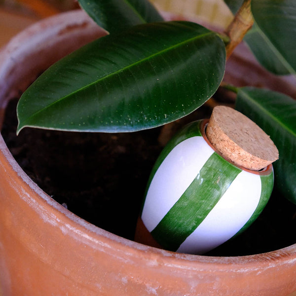 Olla - Striped Green & White