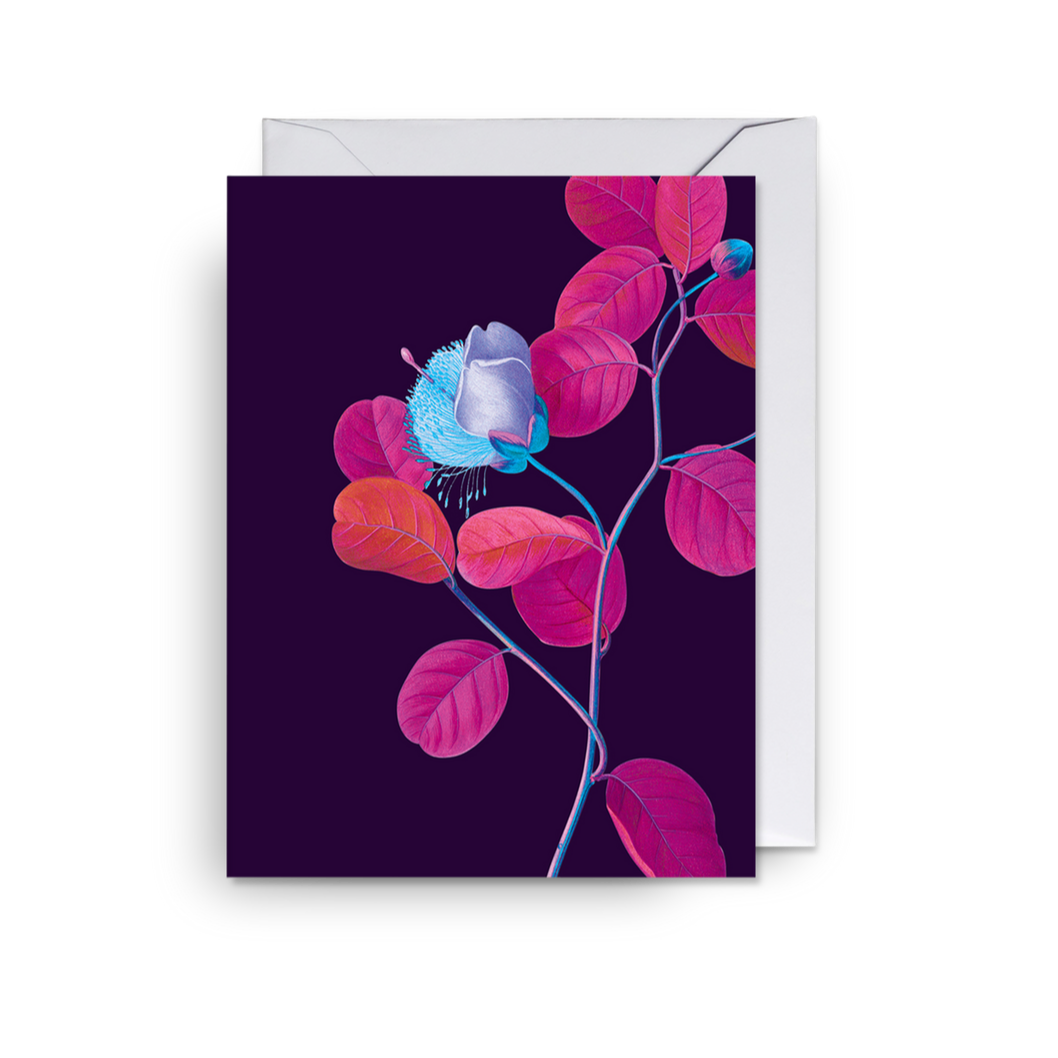 Caper Bush Floral - Mini Card