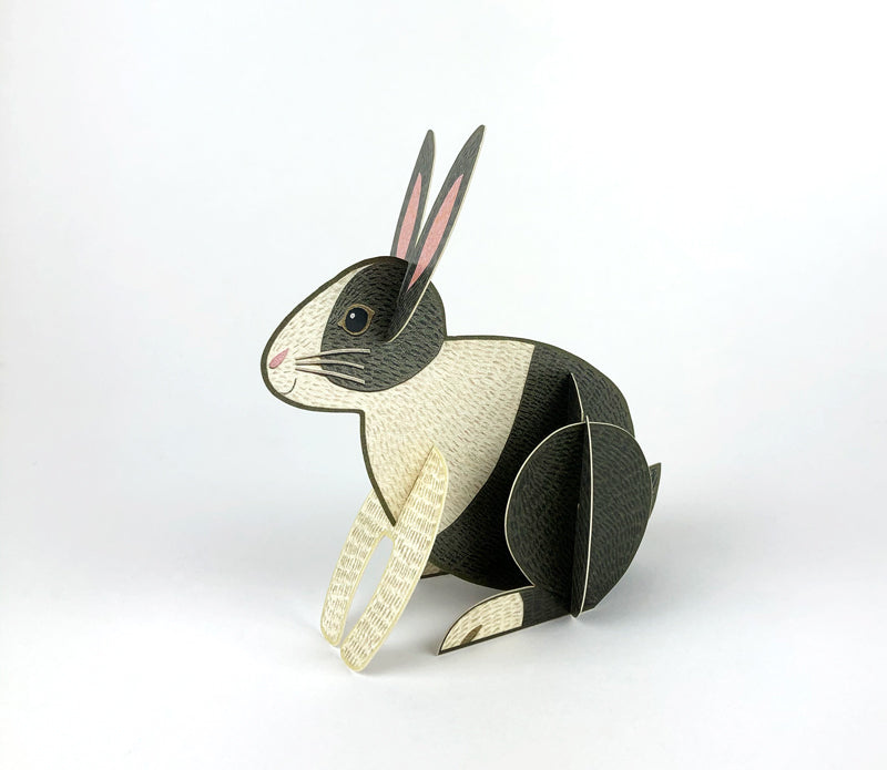 Rabbit Pop-Out Card by Alice Melvin