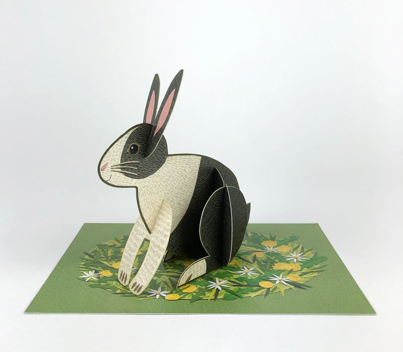 Rabbit Pop-Out Card by Alice Melvin