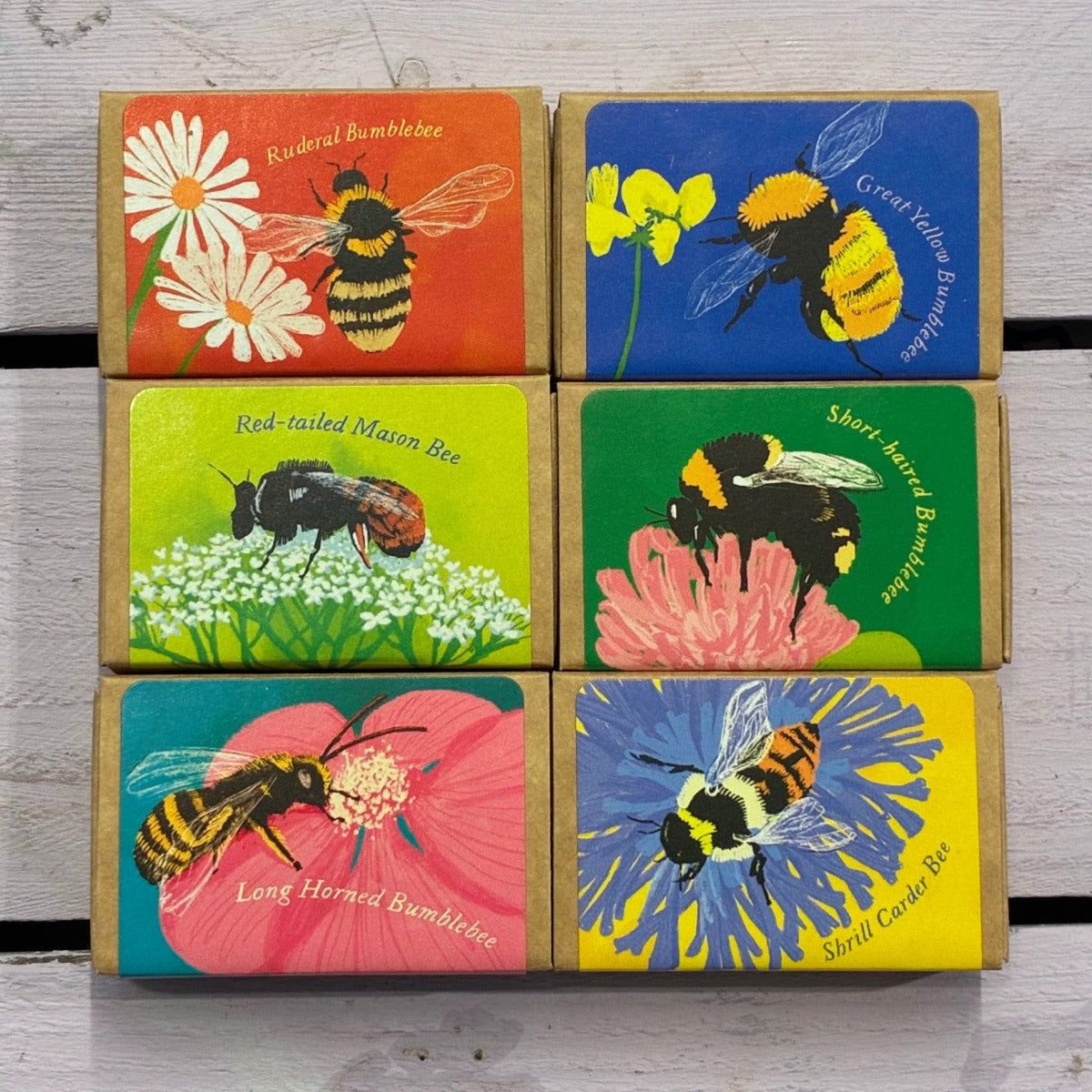 Bees Collection – Set of 6
