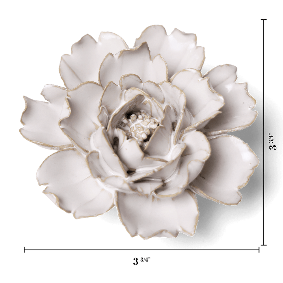 Coastal Ceramic Flower Wall Art Flower Ivory Rose