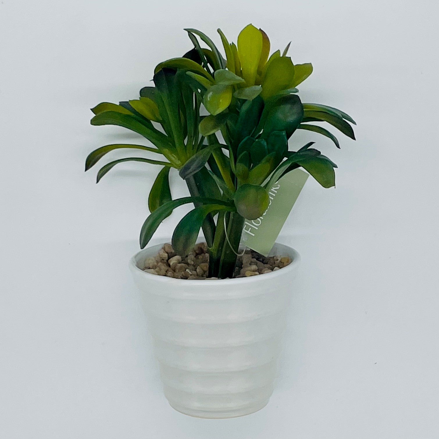 Floralsilk - Artificial Succulent in Cement Planter