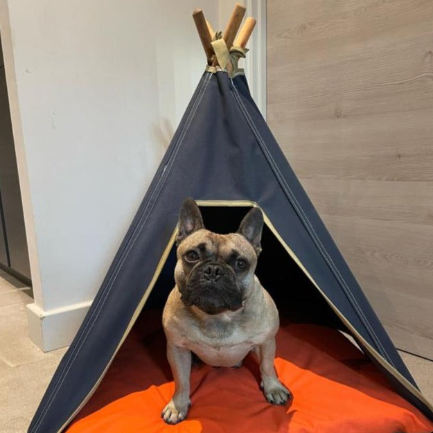 Pooch & Paws - Dog Teepee - Navy Blue