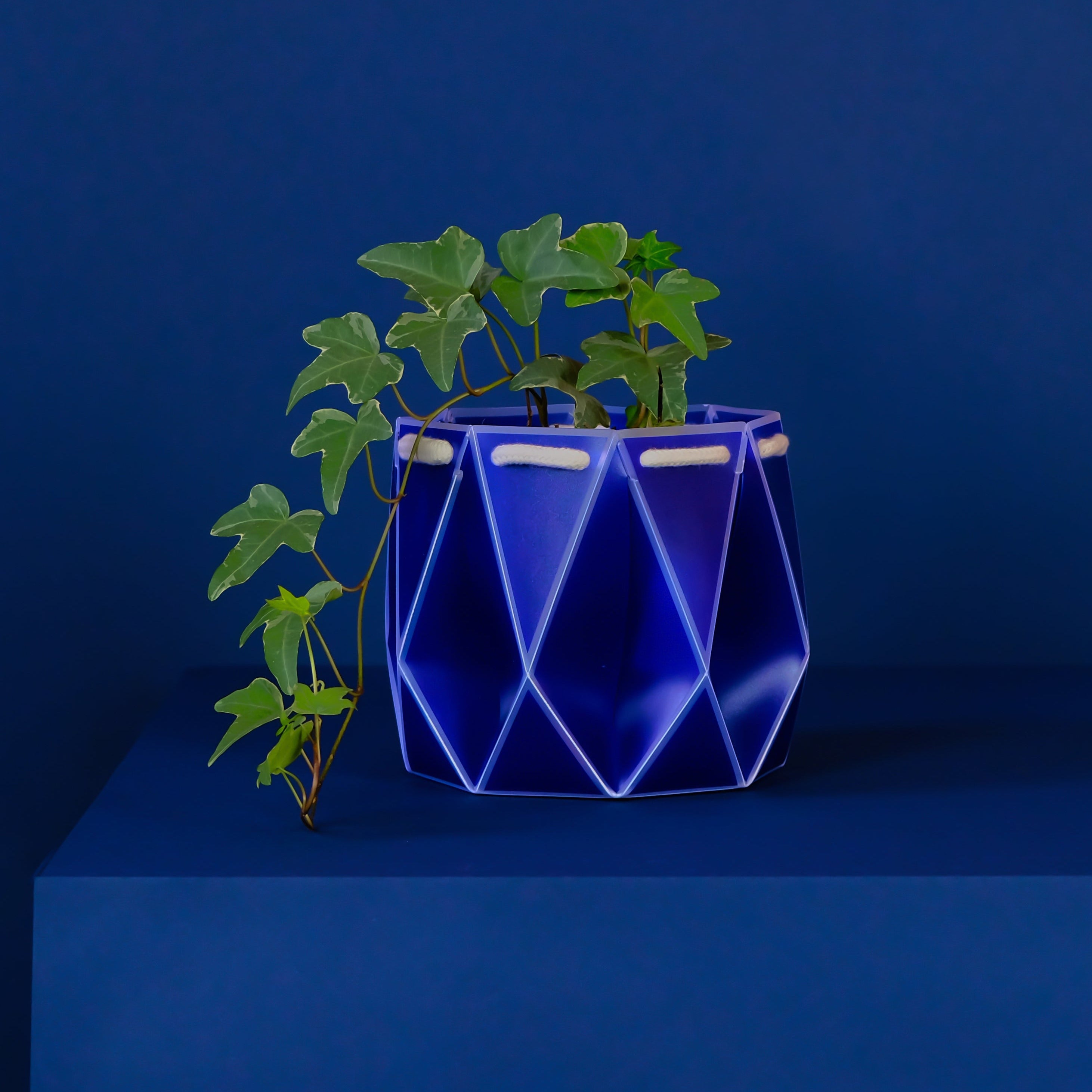 POTR Pot - Navy Ink Blue 15cm