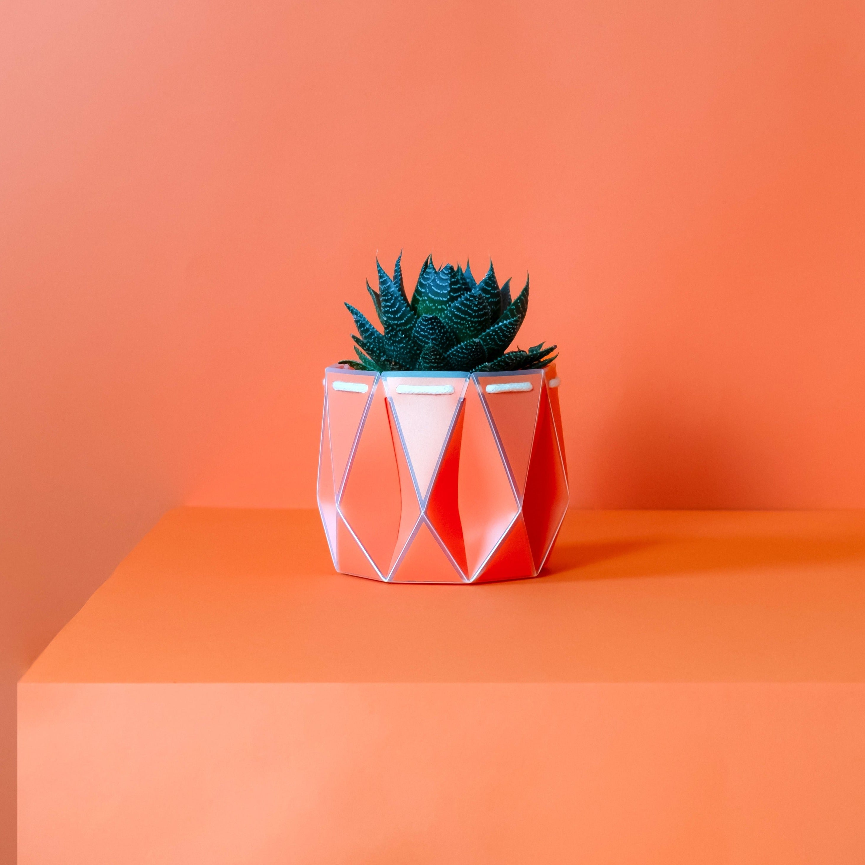 POTR Pot - Coral Orange 11cm