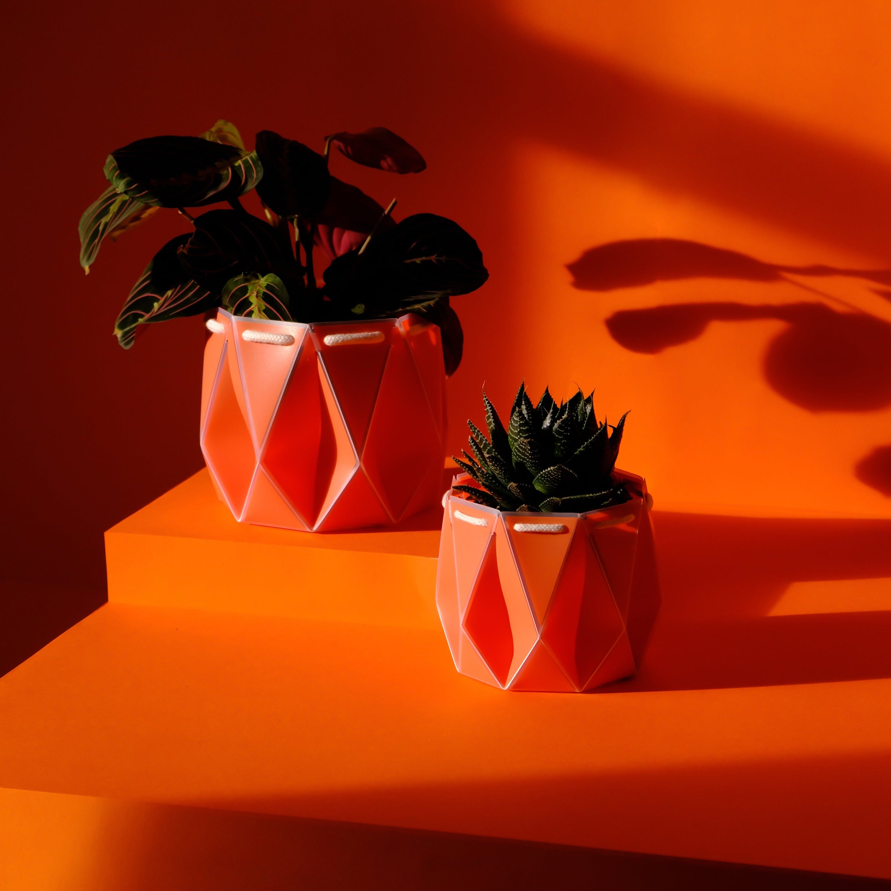 POTR Pot - Coral Orange 11cm