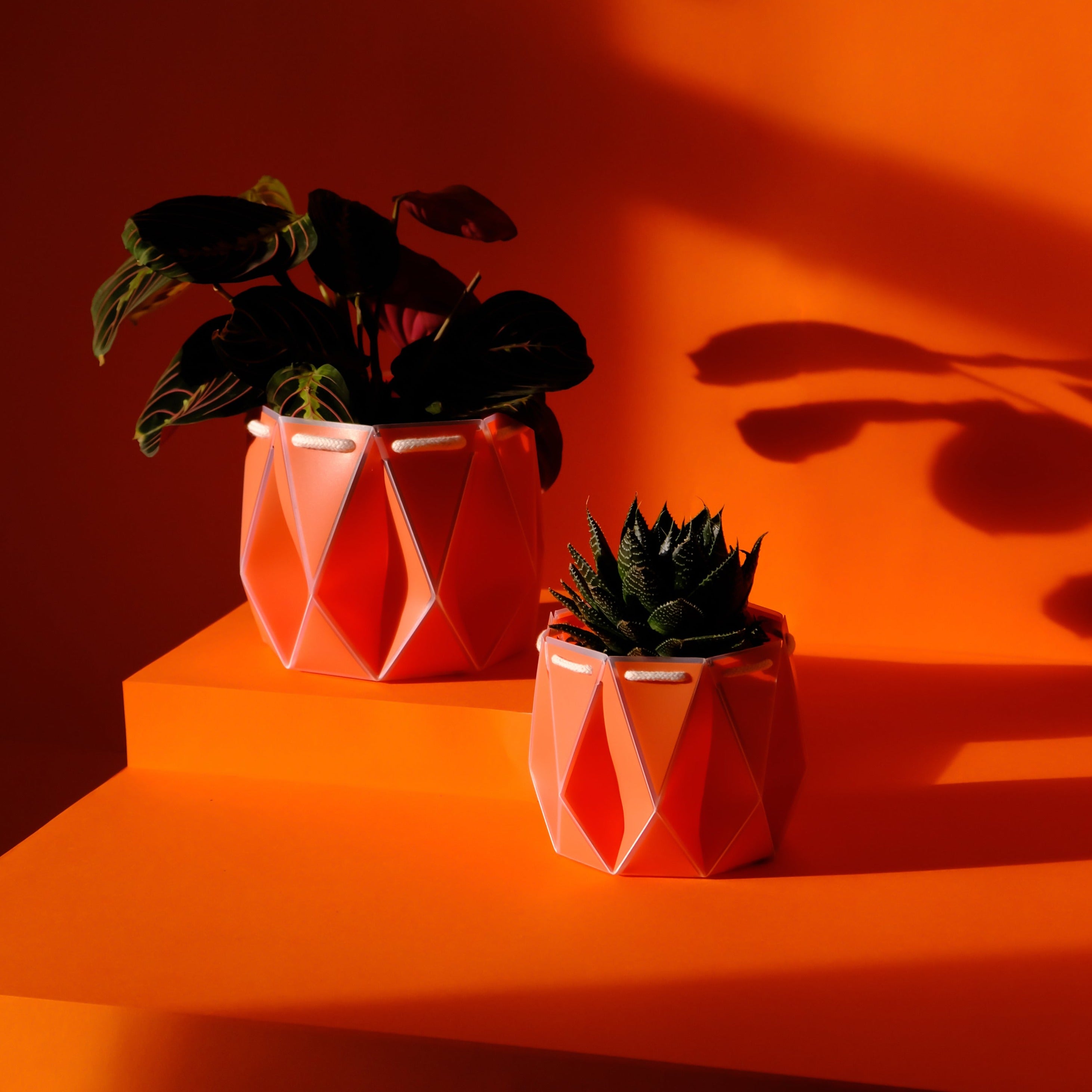 POTR Pot - Coral Orange 15cm