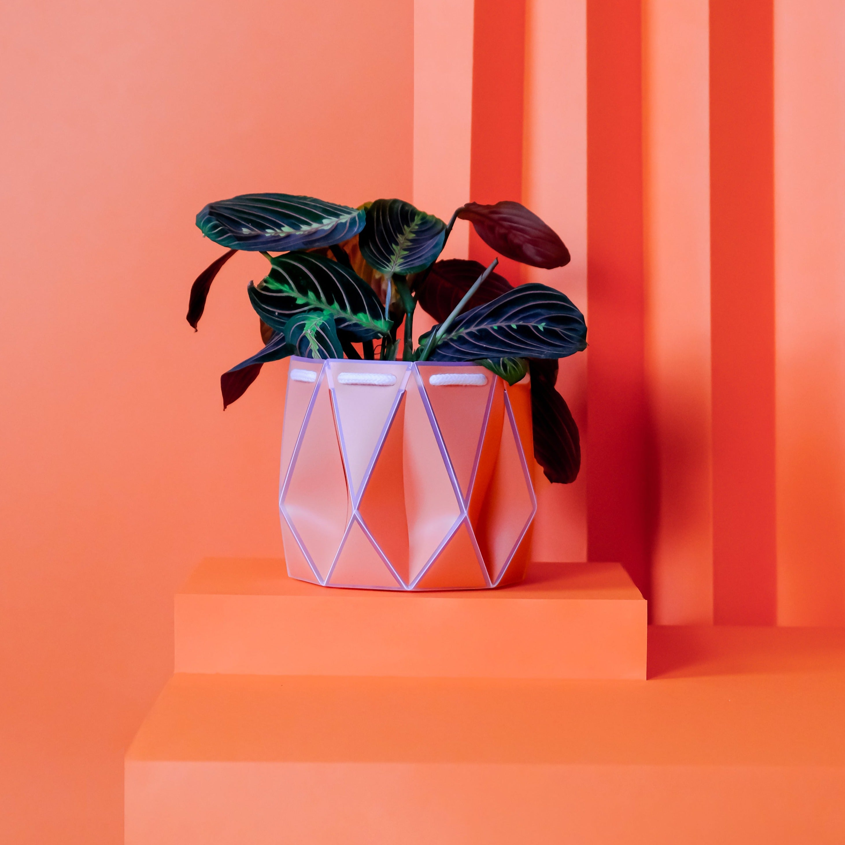 POTR Pot - Coral Orange 15cm