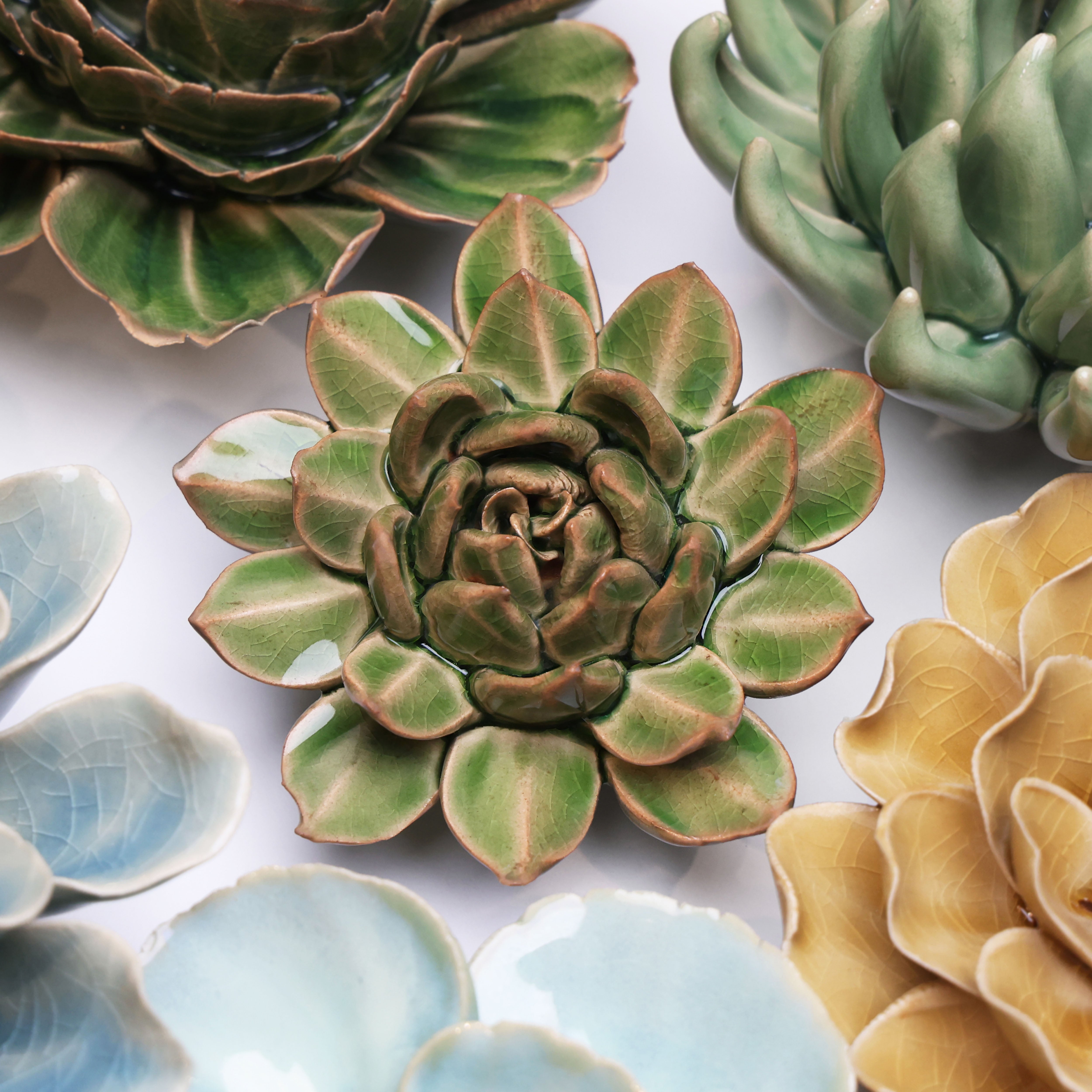 English Garden Ceramic Flower Green Small Succulent