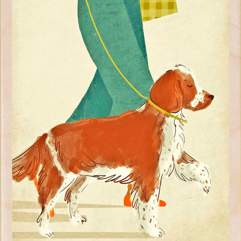 The Wooden Postcard Company - Spaniel Postcard