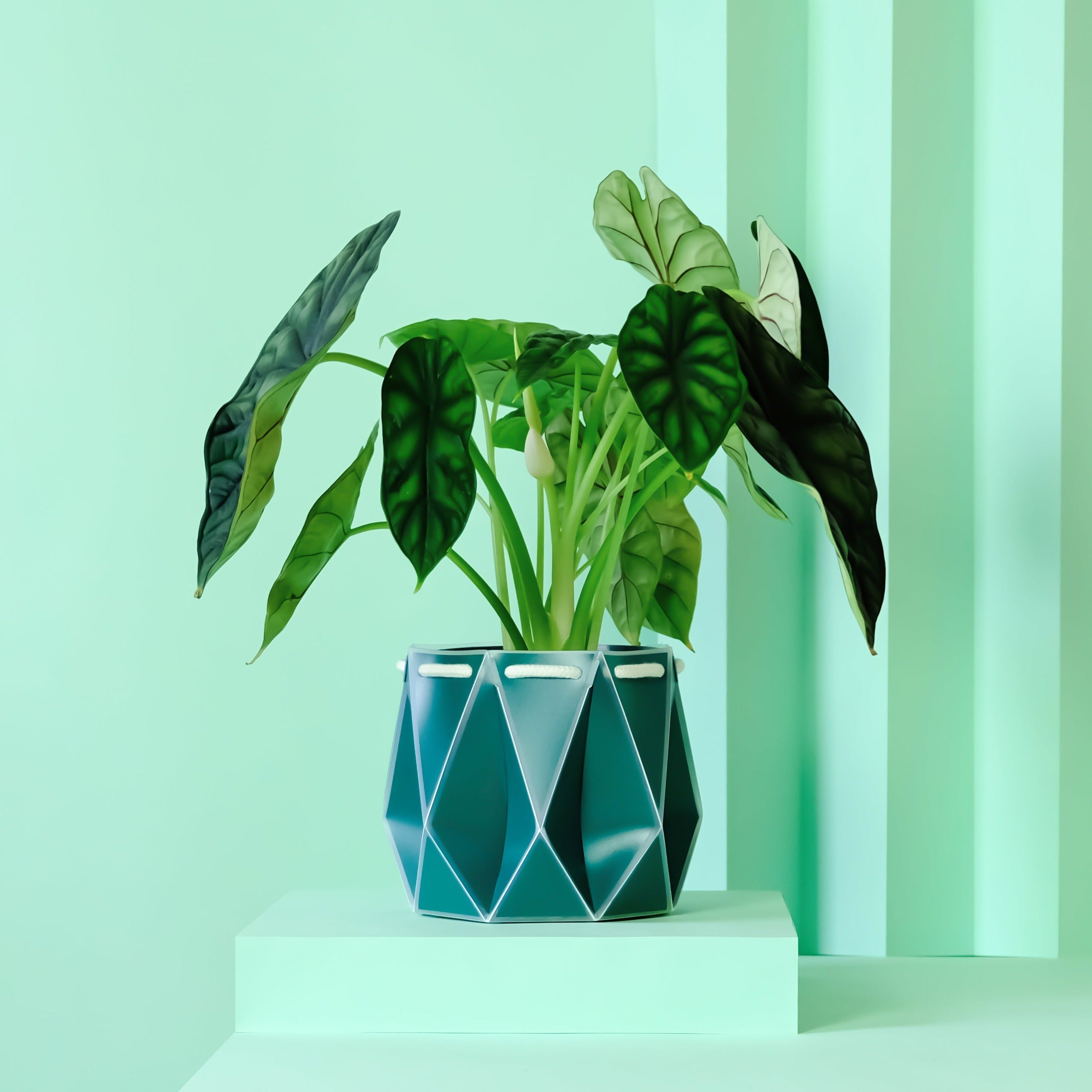 POTR Pot - Pine Green 18cm
