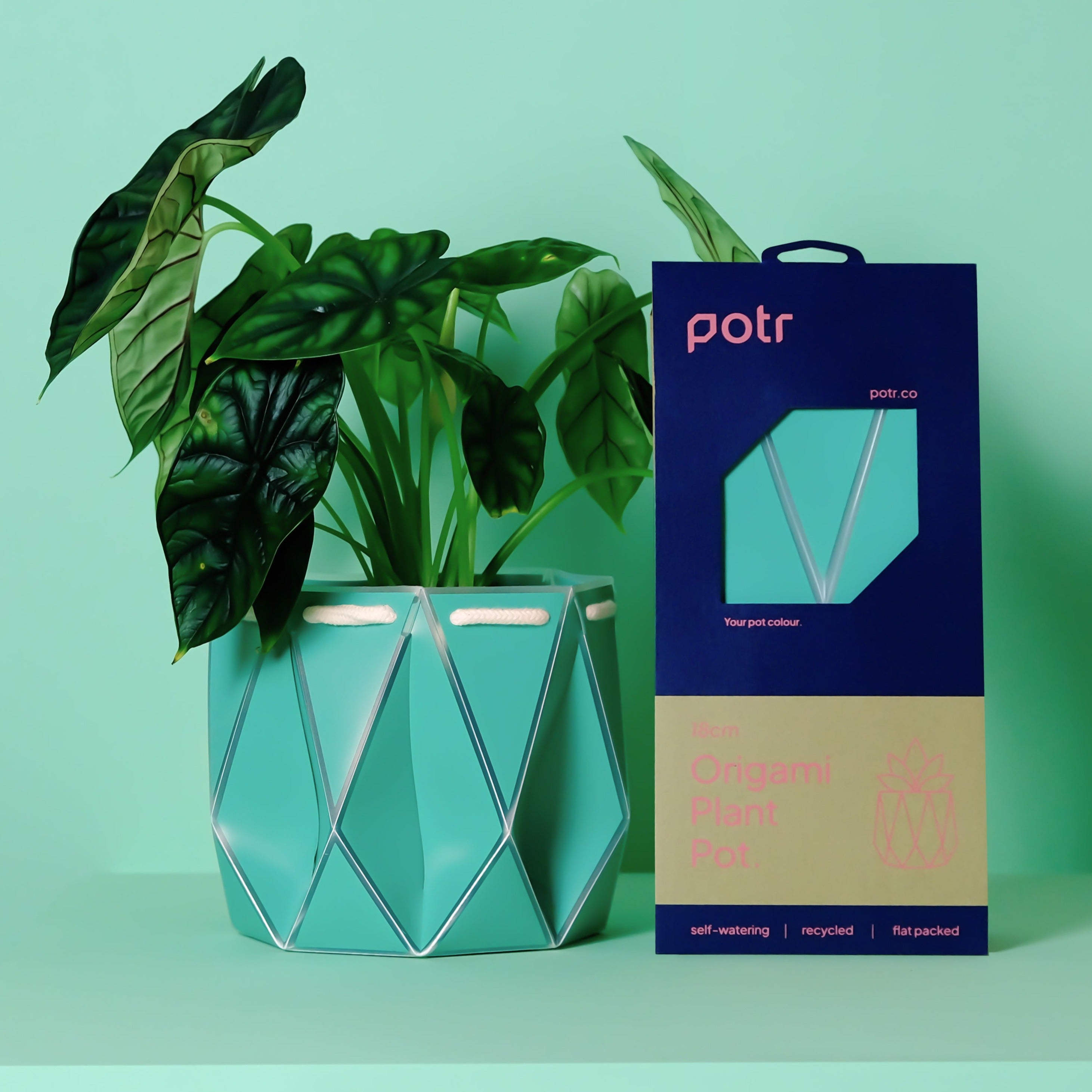 POTR Pot - Aqua Blue 18cm