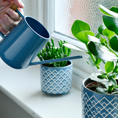 Collector Indoor Watering Can - Heritage Blue
