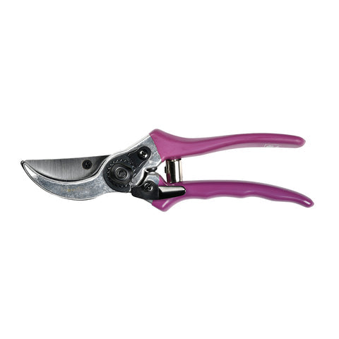 Asteraceae Secateurs